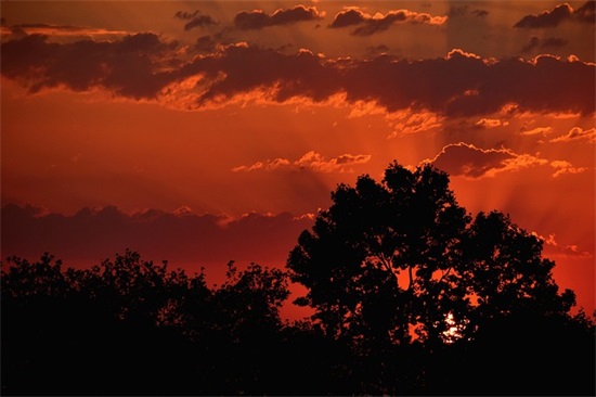 一些幸福的句子97句