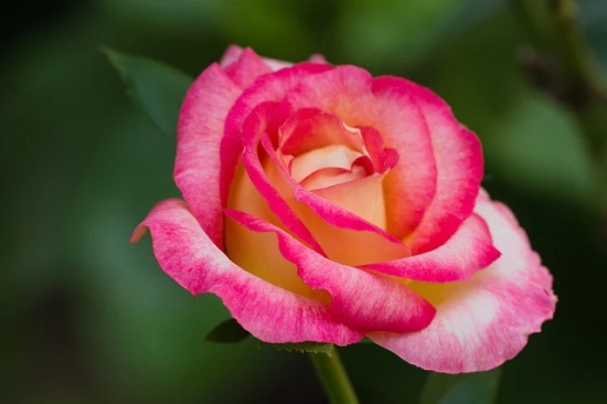 伤感回忆句子 伤感的回忆句子