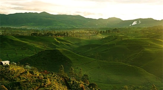 伤感心碎昵称一个字(精选83个)