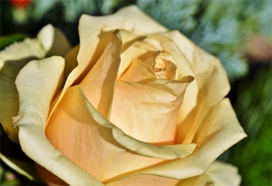 长发美丽的句子精选283句