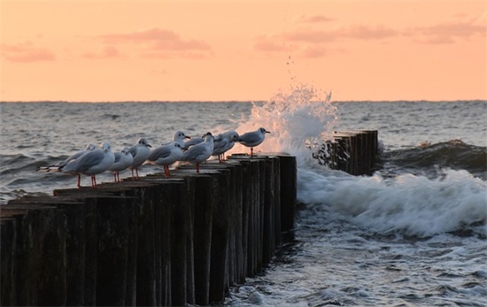 父亲节对爸爸说的话81句