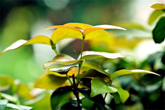 喝酒的幽默句子35条