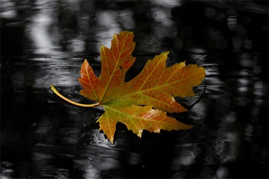 对女孩子说感动的话100句