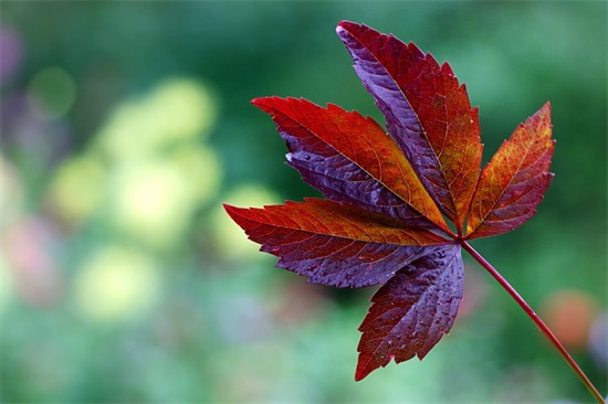 爸爸爱女儿的句子集锦