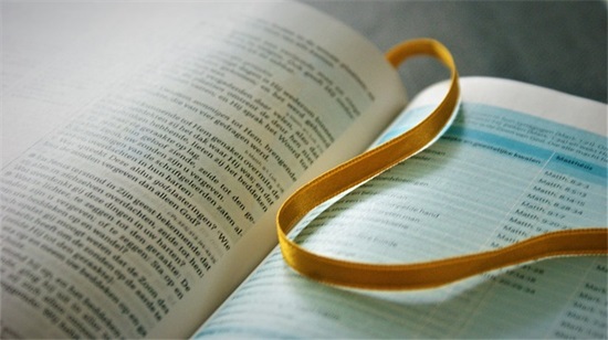 幼儿对老师感恩的句子简短74句