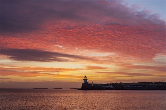 最新迎接鼠年跨年微信心情说说精选2025(qq说说大全2025新年)