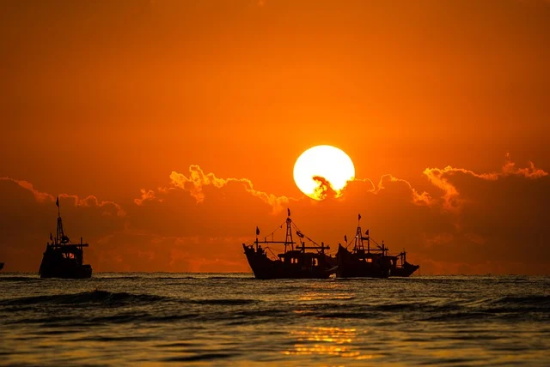 句子一年级83句