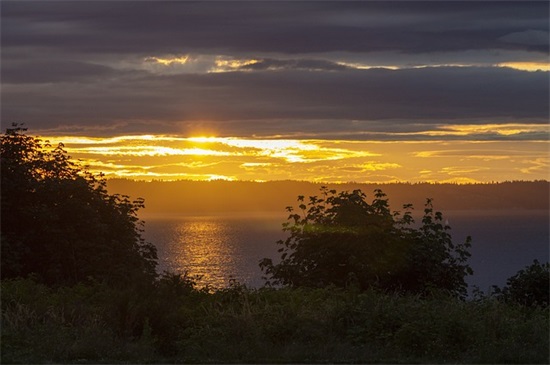 智慧农业演讲稿范文 智慧农业演讲稿范文