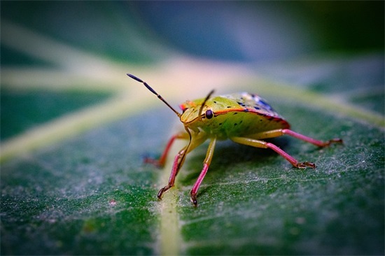 申论演讲稿范文 申论演讲稿范文