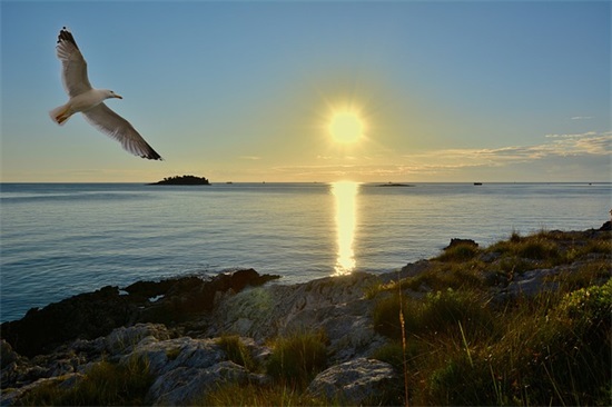 就业演讲稿范文