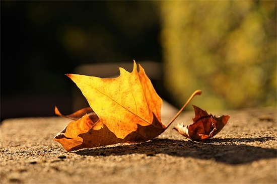 父母寄语孩子毕业-50句