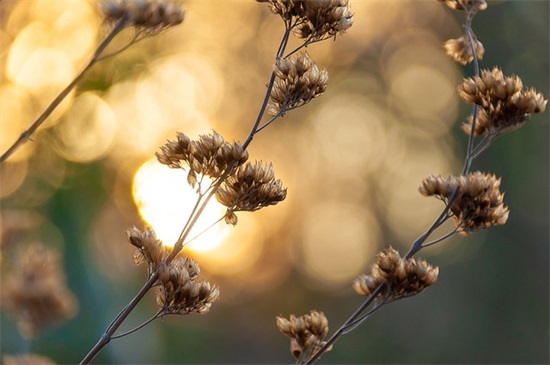 16岁生日经典寄语-51句