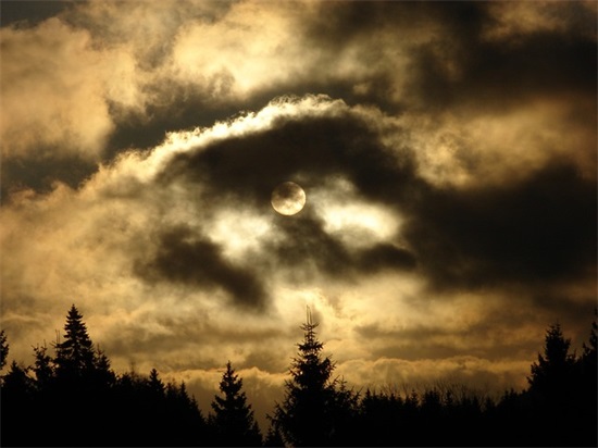 爸爸给幼儿园儿子的寄语怎么写-45句