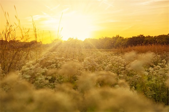 宝宝的节日寄语-39句