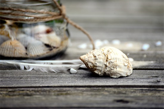 初中生评价手册中家长寄语怎么写-29句