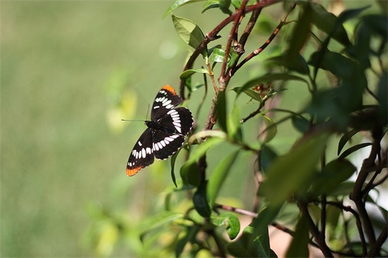送给闺蜜的深情寄语-51句