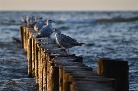 给孩子18岁生日寄语-31句