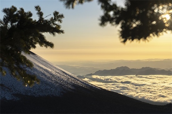 2025高质量文案句子 2025文案短句