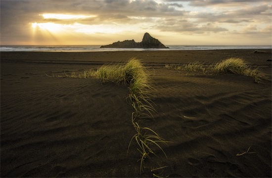 逗人开心又撩人的话 夫妻相濡以沫的句子