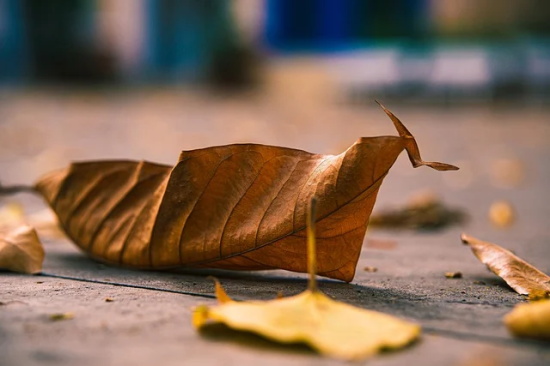 展望2025年励志句子精选大全