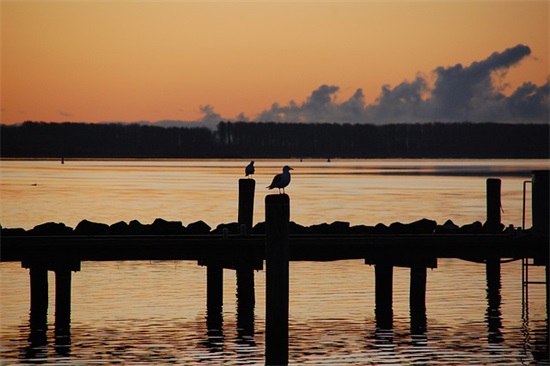 描写可爱女孩的句子29句