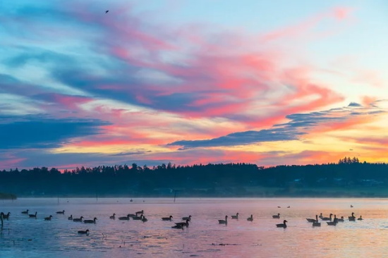 做人难的伤感句子 做人难的伤感句子