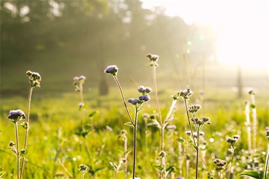 描写忧伤感人的句子 描写忧伤感人的句子