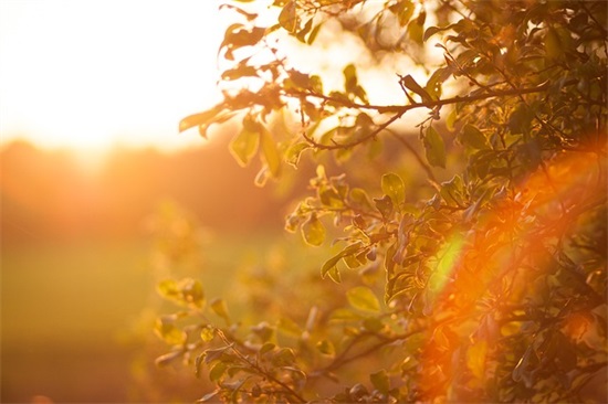 夏天风景好句子 夏天风景好句子