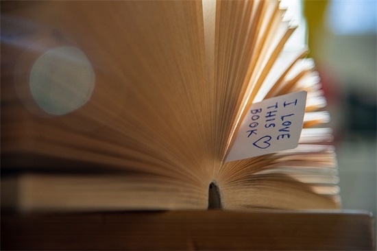 20字优美句子 20字优美句子