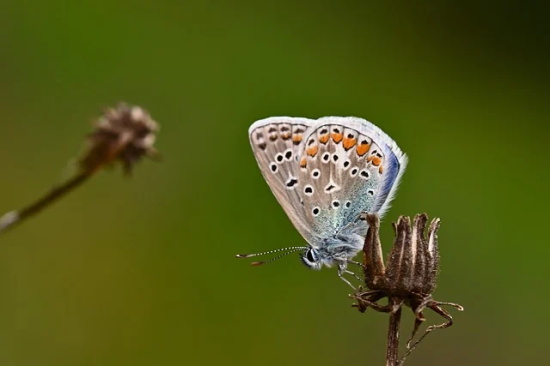 最心痛伤感的句子 心痛伤感的句子