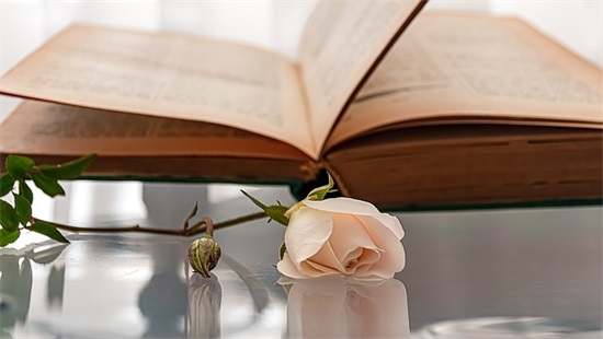 抖音热门熬夜文案句子