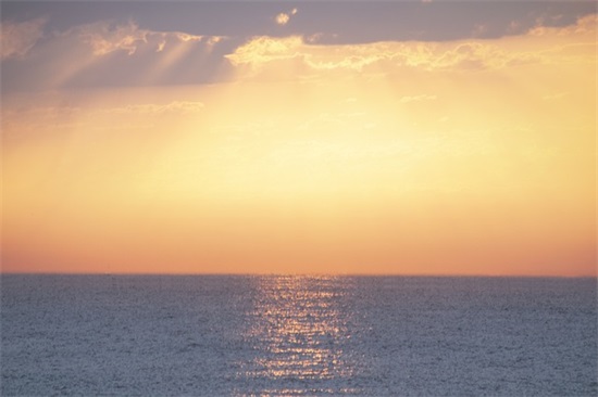 关于爱情的句子伤感(转瞬即逝的爱情根本不值得留恋)