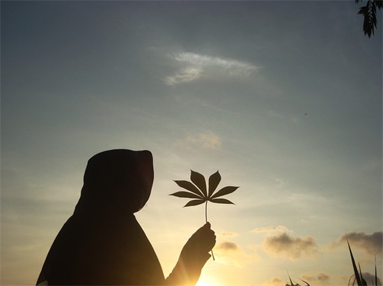 2025情感语录经典短句