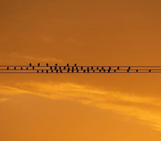 佛家特别经典的语录