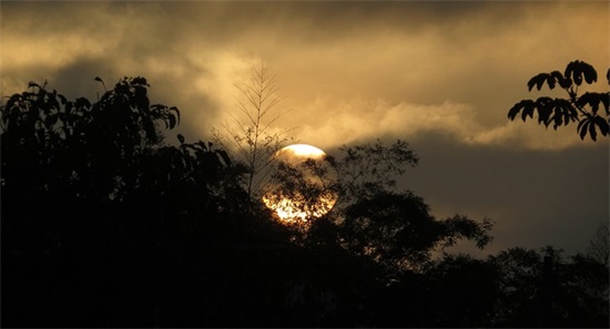 对生活有信心的励志语录(爱生活爱工作的励志语录)