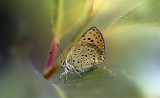 四月正能量励志语录(四月正能量的句子经典语句)