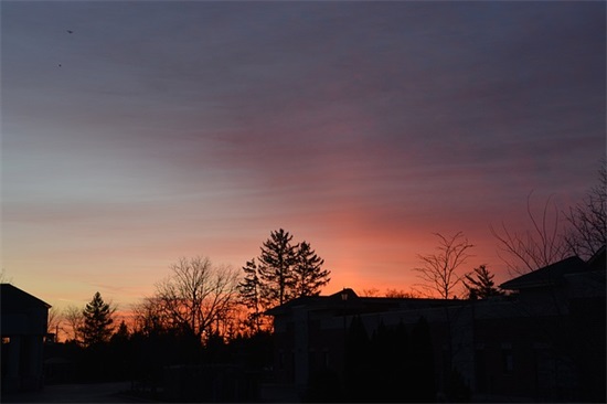 周立波语录83句