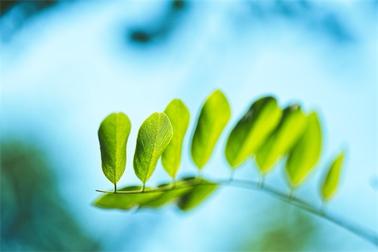 公司励志语录85句