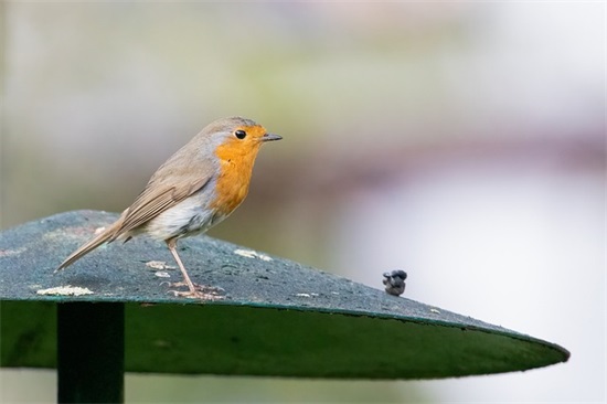 2025正能量经典语录 创新正能量经典语录