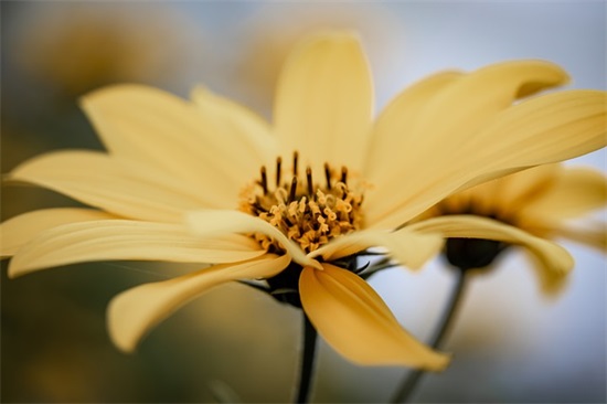 郭敬明的励志青春语录 郭敬明励志语录