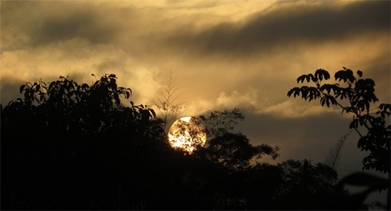 永夜君王经典语录52句