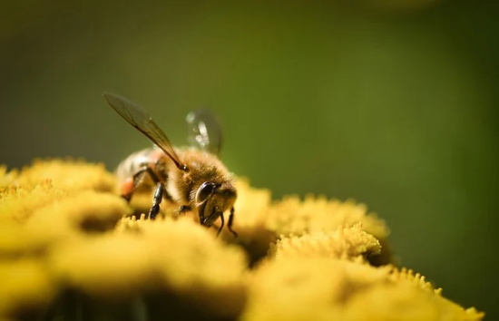 提醒自己控制情绪的句子(克制自己的情绪的语录)