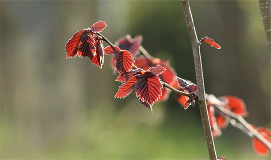 2025建国70周年经典语录大全(唱响我爱我的祖国说说句子)