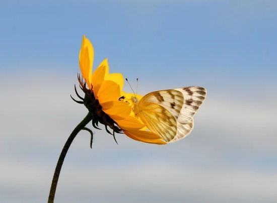 震撼内心的心情语录