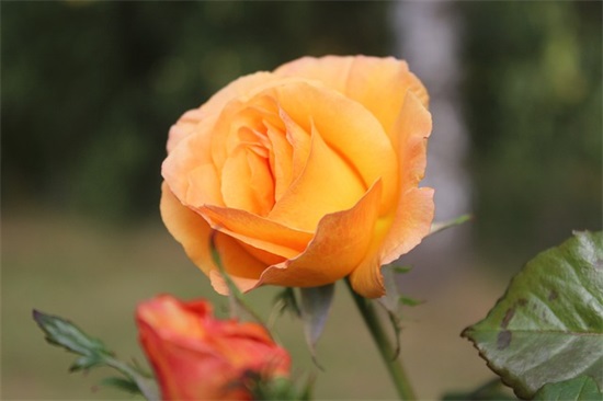 致自己的话心情语录大全  心情语录大全