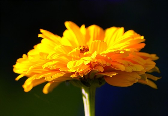 最新的教师节搞笑祝福短信大全(教师节祝福短信)