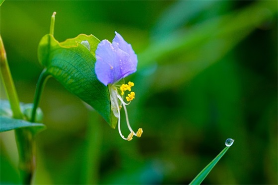 2025妇女节祝福贺词