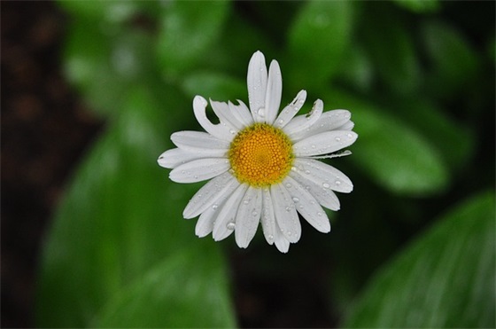 大太阳天打爆雷(打一成语)
