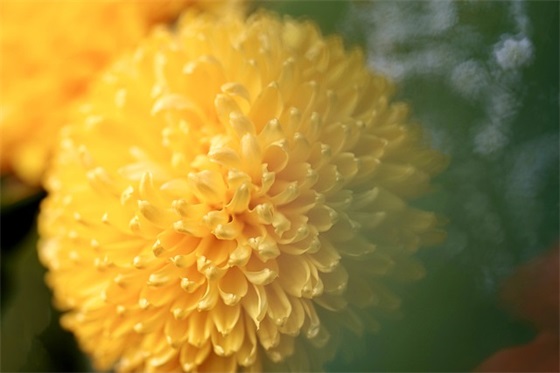 点滴积累方有为 (打一字)