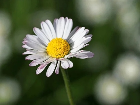 毕业寄语是写给谁的-100句